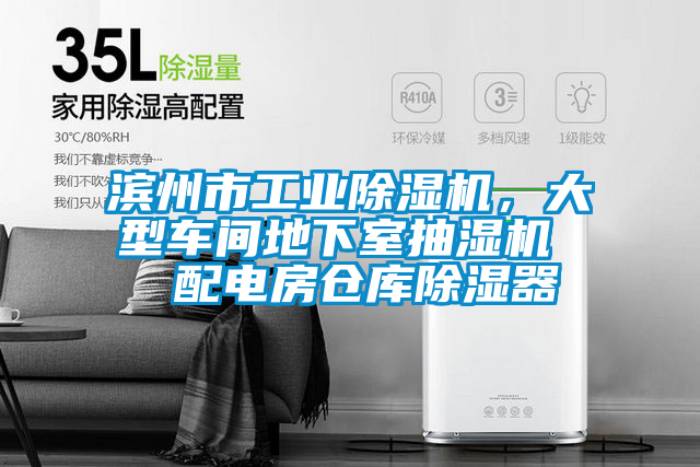 滨州市宝马电子游戏平台网址，大型车间地下室抽湿机  配电房仓库除湿器