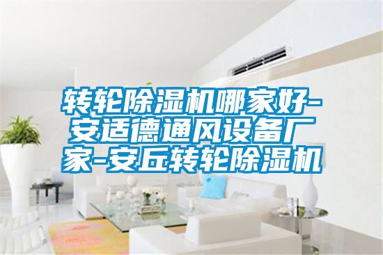 转轮除湿机哪家好-安适德通风设备厂家-安丘转轮除湿机