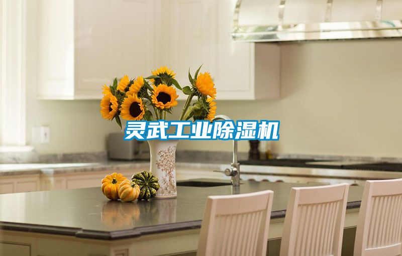 灵武宝马电子游戏平台网址