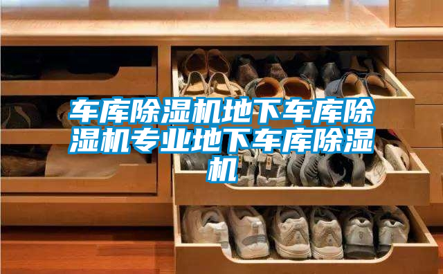 车库除湿机地下车库除湿机专业地下车库除湿机