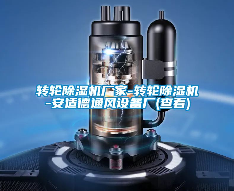转轮宝马电子游戏娱乐-转轮除湿机-安适德通风设备厂(查看)