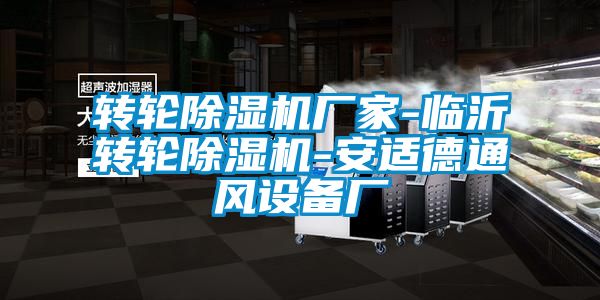 转轮宝马电子游戏娱乐-临沂转轮除湿机-安适德通风设备厂