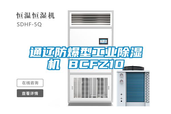 通辽防爆型宝马电子游戏平台网址 BCFZ10