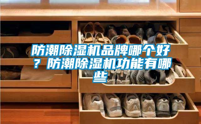 防潮除湿机品牌哪个好？防潮除湿机功能有哪些