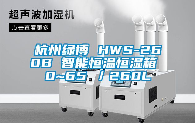 杭州绿博 HWS-260B 智能恒温恒湿箱 0~65℃／260L