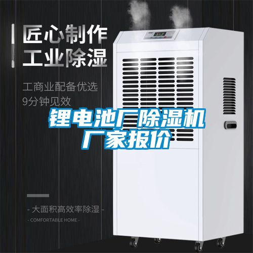 锂电池厂宝马电子游戏娱乐报价