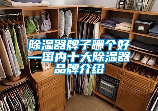 除湿器牌子哪个好—国内十大除湿器品牌介绍