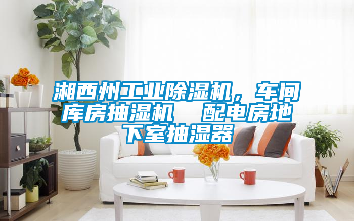 湘西州宝马电子游戏平台网址，车间库房抽湿机  配电房地下室抽湿器
