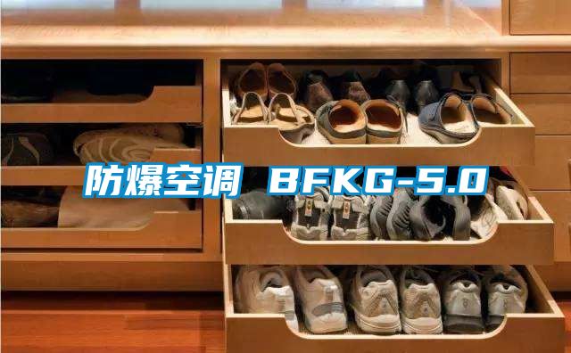 防爆空调 BFKG-5.0