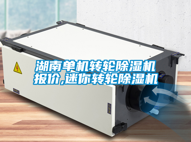 湖南单机转轮除湿机报价,迷你转轮除湿机