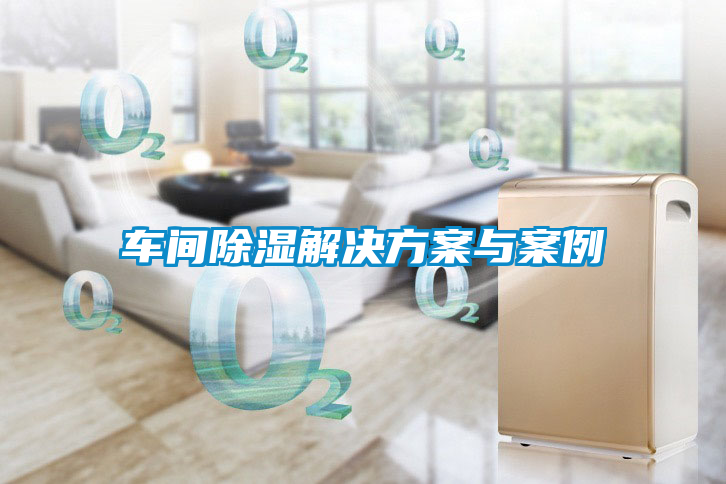 车间除湿解决方案与案例
