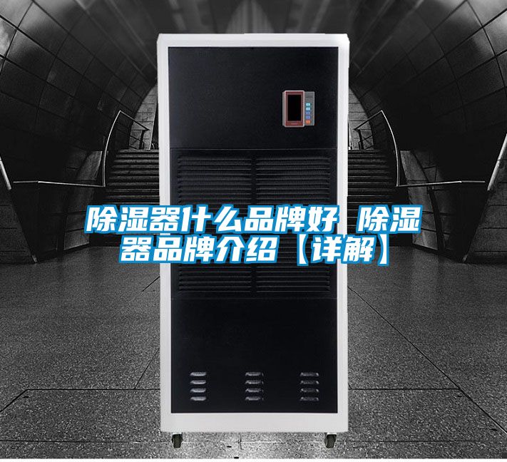 除湿器什么品牌好 除湿器品牌介绍【详解】
