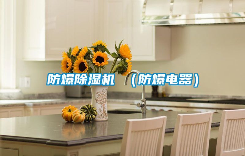 防爆除湿机 （防爆电器）