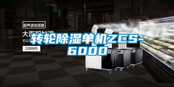 转轮除湿单机ZCS-6000