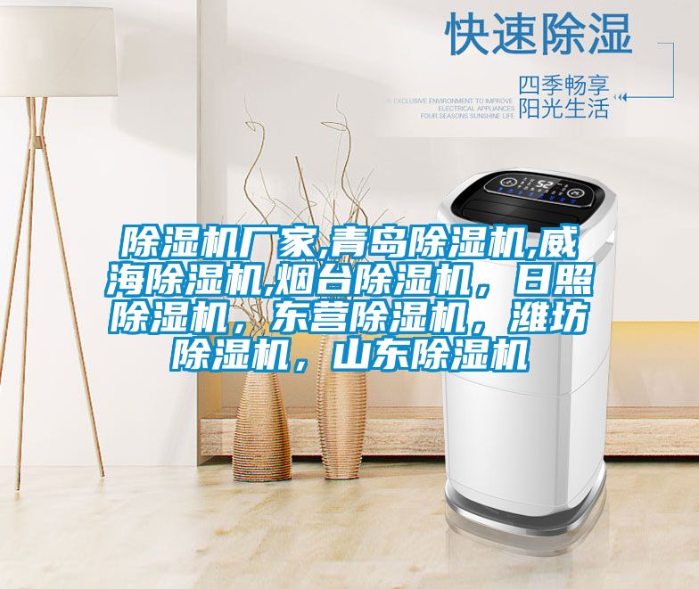宝马电子游戏娱乐,青岛除湿机,威海除湿机,烟台除湿机，日照除湿机，东营除湿机，潍坊除湿机，山东除湿机