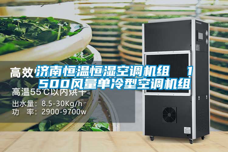 济南恒温恒湿空调机组  1500风量单冷型空调机组
