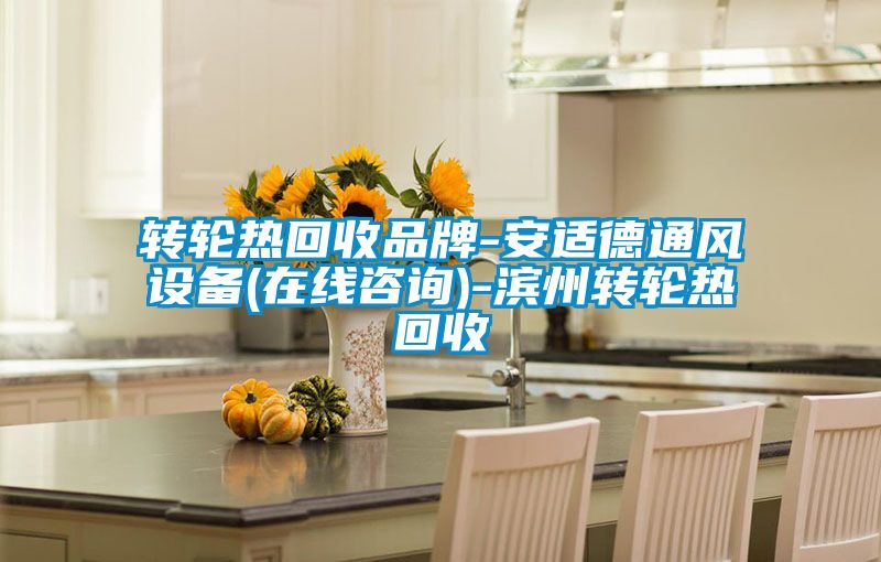 转轮热回收品牌-安适德通风设备(在线咨询)-滨州转轮热回收