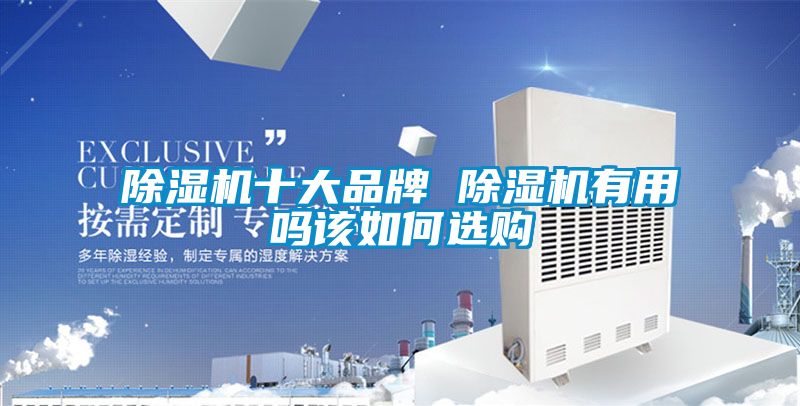 除湿机十大品牌 除湿机有用吗该如何选购