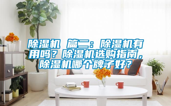 除湿机 篇二：除湿机有用吗？除湿机选购指南，除湿机哪个牌子好？
