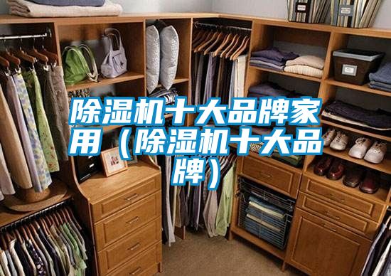 除湿机十大品牌家用（除湿机十大品牌）