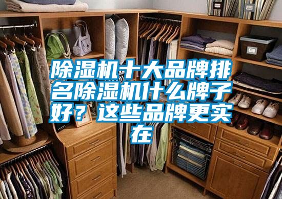 除湿机十大品牌排名除湿机什么牌子好？这些品牌更实在
