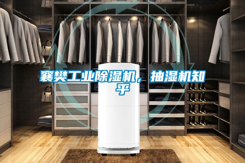 襄樊宝马电子游戏平台网址，抽湿机知乎