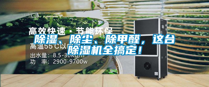 除湿、除尘、除甲醛，这台除湿机全搞定！