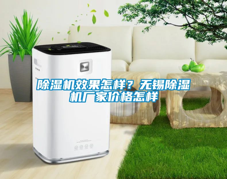 除湿机效果怎样？无锡宝马电子游戏娱乐价格怎样