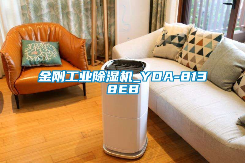 金刚宝马电子游戏平台网址_YDA-8138EB
