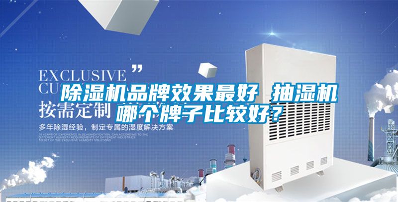 除湿机品牌效果最好 抽湿机哪个牌子比较好？