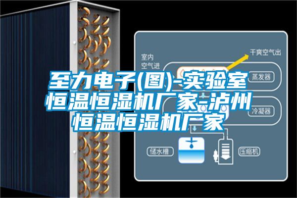 至力电子(图)-实验室恒温恒湿机厂家-泸州恒温恒湿机厂家