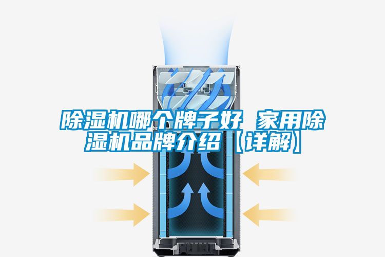 除湿机哪个牌子好 家用除湿机品牌介绍【详解】