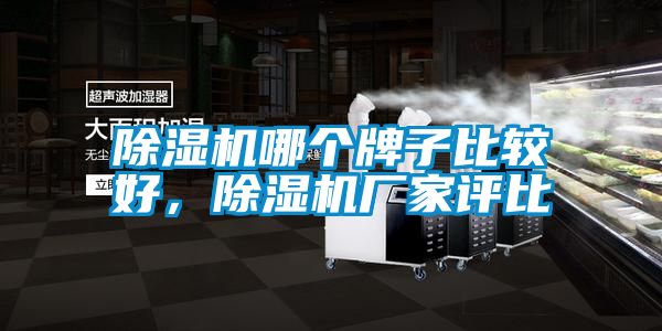 除湿机哪个牌子比较好，宝马电子游戏娱乐评比