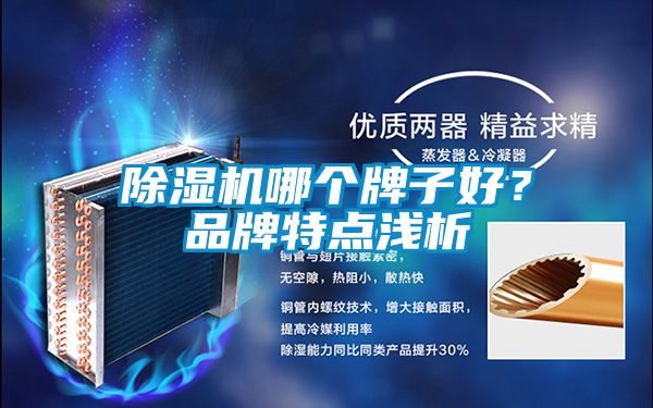 除湿机哪个牌子好？品牌特点浅析