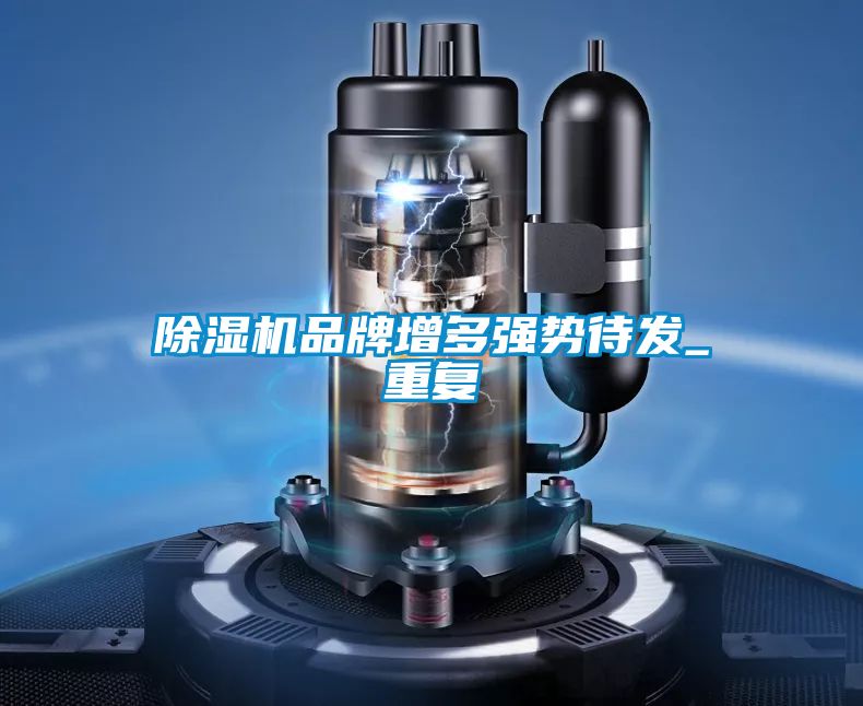 除湿机品牌增多强势待发_重复