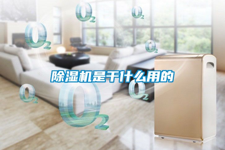 除湿机是干什么用的