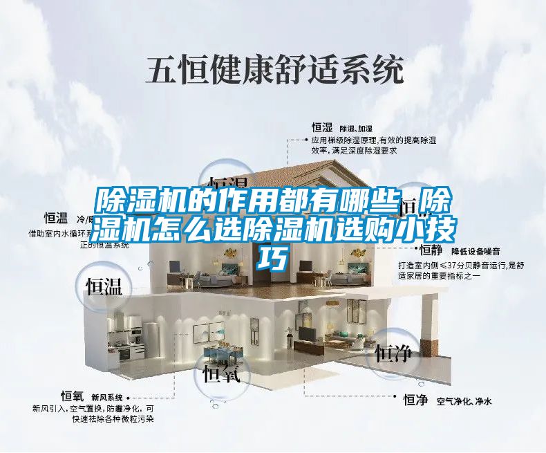 除湿机的作用都有哪些 除湿机怎么选除湿机选购小技巧