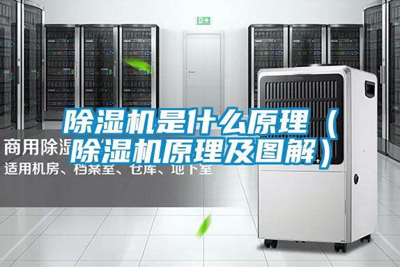 除湿机是什么原理（除湿机原理及图解）
