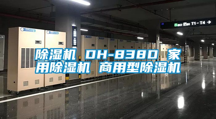 除湿机 DH-838D 家用除湿机 商用型除湿机