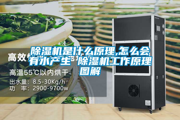 除湿机是什么原理,怎么会有水产生 除湿机工作原理图解