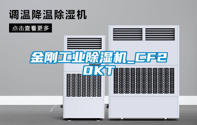 金刚宝马电子游戏平台网址_CF20KT