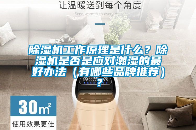 除湿机工作原理是什么？除湿机是否是应对潮湿的最好办法（有哪些品牌推荐）？