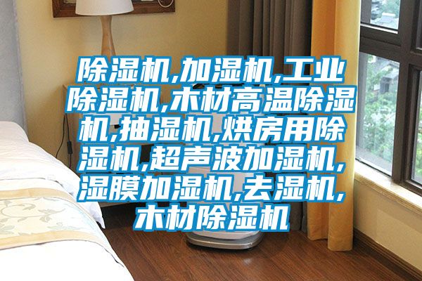 除湿机,加湿机,宝马电子游戏平台网址,木材高温除湿机,抽湿机,烘房用除湿机,超声波加湿机,湿膜加湿机,去湿机,木材除湿机