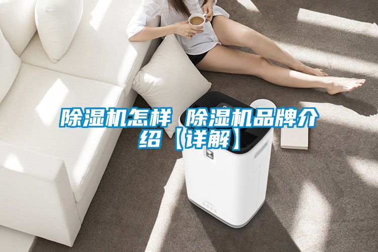 除湿机怎样 除湿机品牌介绍【详解】