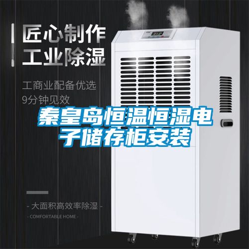 秦皇岛恒温恒湿电子储存柜安装