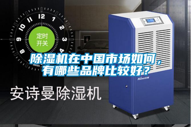 除湿机在中国市场如何，有哪些品牌比较好？