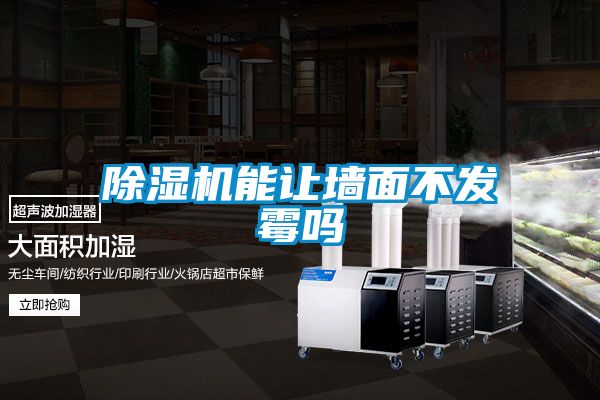 除湿机能让墙面不发霉吗