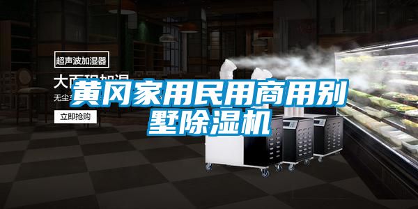 黄冈家用民用商用别墅除湿机