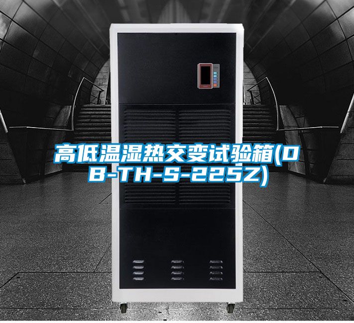 高低温湿热交变试验箱(DB-TH-S-225Z)