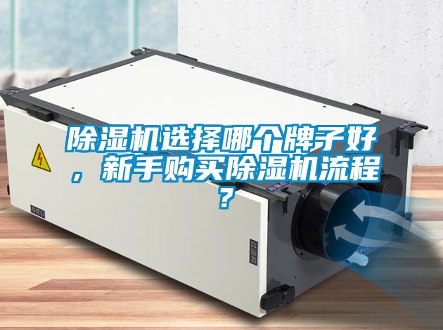 除湿机选择哪个牌子好，新手购买除湿机流程？